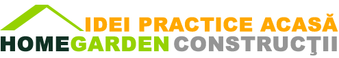logo idei practice acasa site-min